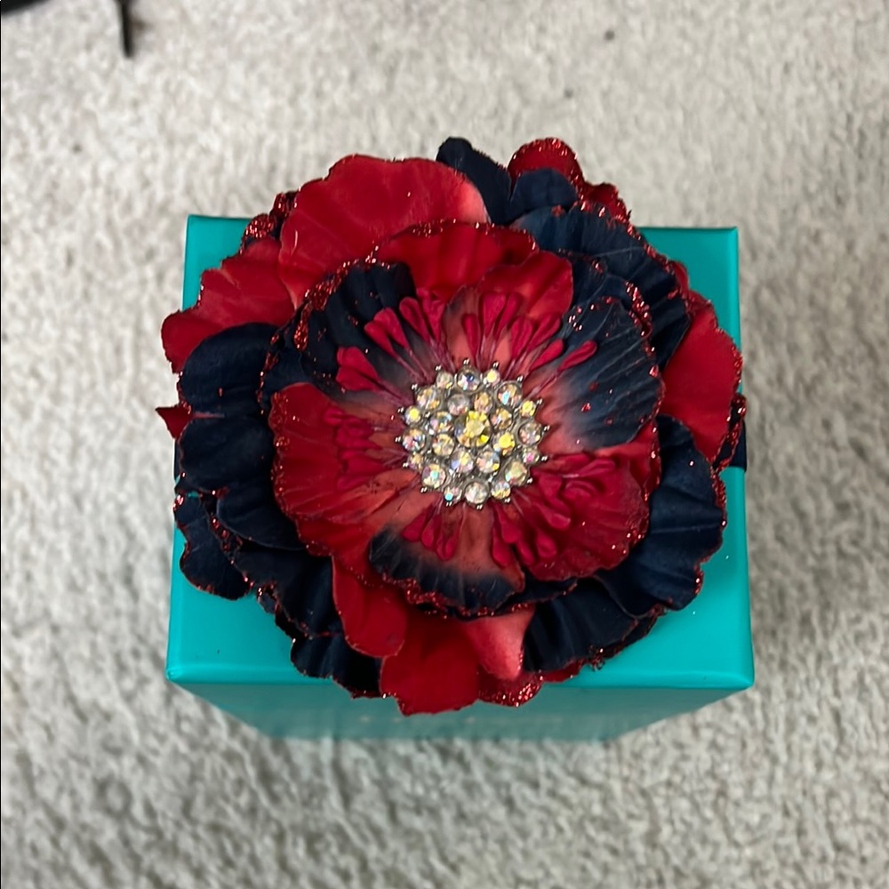 Tieks by Gavrieli Teal Box